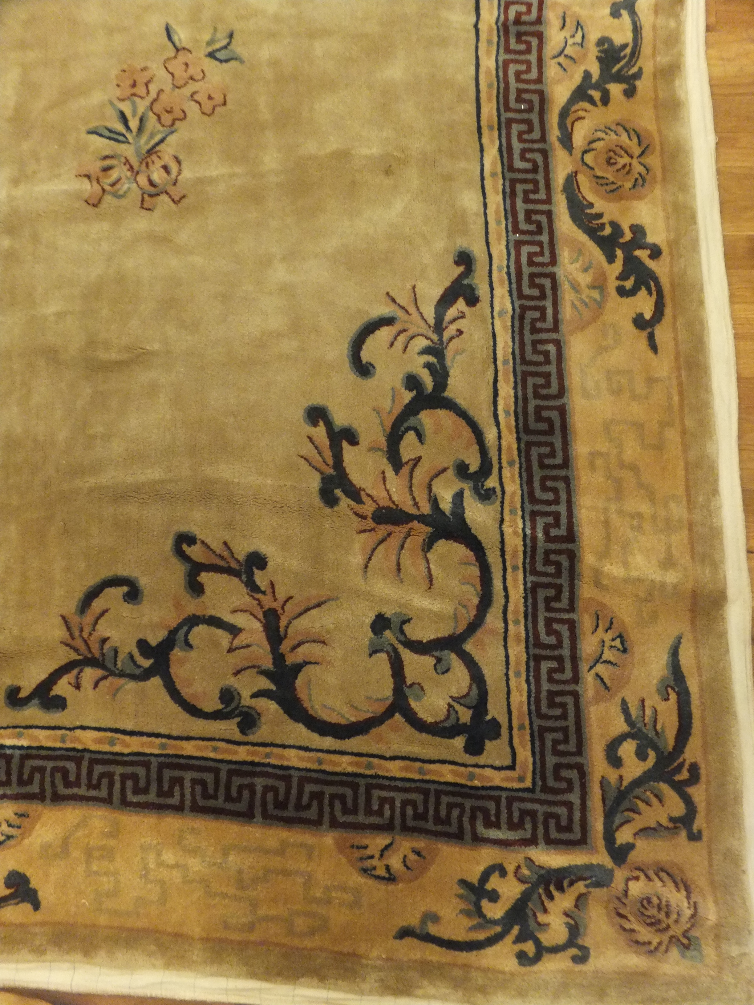 Rug image